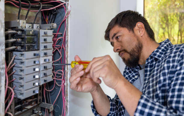 Best Residential Electrician Services  in Ridgway, CO